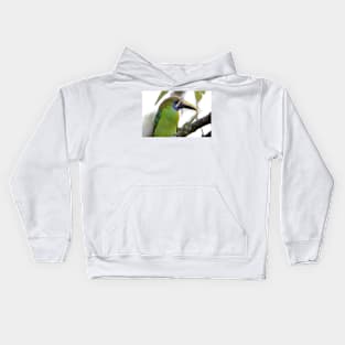 Blue-throated Toucanet Kids Hoodie